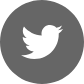 Twitter Icon